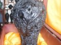 黑陶：陶器中的黑珍珠 返璞歸真的藝術瑰寶