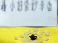 紫砂技藝美名揚 組圖