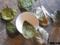吉州窯精品—木葉天目瓷