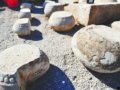 濟南縣西巷武岳廟舊出土眾多罕見文物