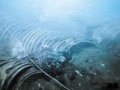 “南澳1號”明代古沉船發現大量青花瓷器