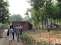 瓷網探訪歷史名窯神垕行——探尋磨街鄉尚溝村古鈞窯遺址