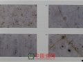 釉的形象——汝窯瓷器的顯微觀察