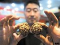 賭核桃悄然興起 玩的就是心跳
