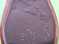 硯之精品——歙硯