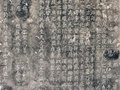 【八】談古論今話神垕