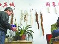 毛筆制作的傳承之傷
