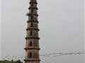 【瓷網瓷都識貝之旅】第十九天 永和鎮吉州窯遺址