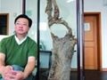 沉香投資：演繹“木頭”也瘋狂
