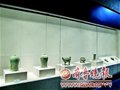 山東崮頂春秋墓文物假日亮相省博