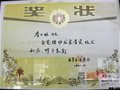 一張獎狀的故事