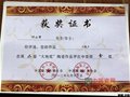 葉小軍作品“洗”喜獲“大地獎”金獎