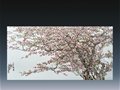 花鳥(niǎo)迎春--2013藏樂(lè)閣迎新花鳥(niǎo)瓷畫(huà)精品展
