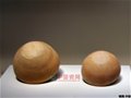 半坡遺址出土陶器