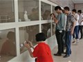 蘇清河生前200多件作品亮相德化“魅力瓷都”瓷藝展