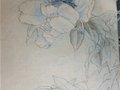 藝術源于生活——陳揚龍的藝術人生