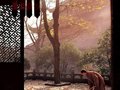 《佛的足跡》——張望攝影作品欣賞