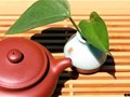 玩壺的段位，你是幾段？