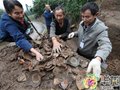 重慶銅梁首次發現涂山窯