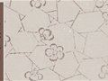 陶瓷紋飾之冰梅紋