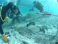 不法分子瘋狂盜撈南海水下古董