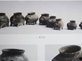 揚州龍虬遺址的“豬形壺”