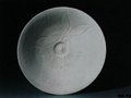 定窯概論——絕藝重光