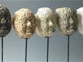 中國美術(shù)學(xué)院2014陶藝系畢業(yè)作品展