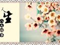 古人八大雅事——琴棋書畫詩酒花茶
