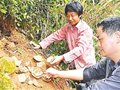 建陽市麻沙鎮墩頭村發現南宋古窯遺址