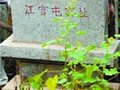 冮官屯窯址
