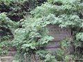 開刀山青瓷窯址