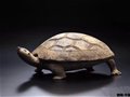 日本美秀美術館藏中國古代陶器欣賞〈一〉