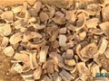 新安煤窯溝瓷窯遺址