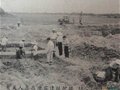 廣東新會官沖唐窯遺址追記