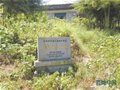 消失的文化遺產——東陽上宅碗廠遺址