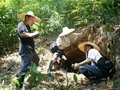 廣東古代名窯：洞巖里窯址