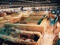 探秘秦兵馬俑2號坑第二次發掘