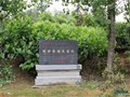 探尋“瓷之源”——德清窯研究與認識