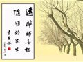 書法大師季羨林作品欣賞