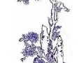 青花吉祥圖案及寓意