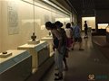 “海上瓷路——粵港澳文物大展”再現古代海上瓷路風采