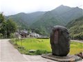 龍泉窯——金村窯、大窯、溪口窯