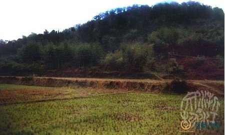61·春秋戰國·紗帽山窯遺址