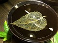一片葉子的最佳歸宿—關于木葉天目的傳說
