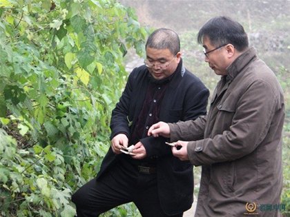 鶴壁窯非遺傳承人張衛(wèi)國受聘瓷網(wǎng)陶瓷藝術(shù)顧問