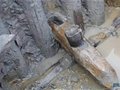 2015浙江考古重要發現“古城、沉船、古墓背后的神秘故事”