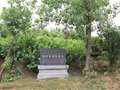 青瓷為主 黑瓷聞名——德清窯