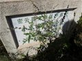 北京密云小水峪古瓷窯遺址