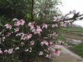 中國古窯萬里行（十一）古窯風(fēng)景隨拍